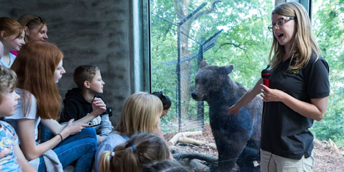 Bristol Zoo Project